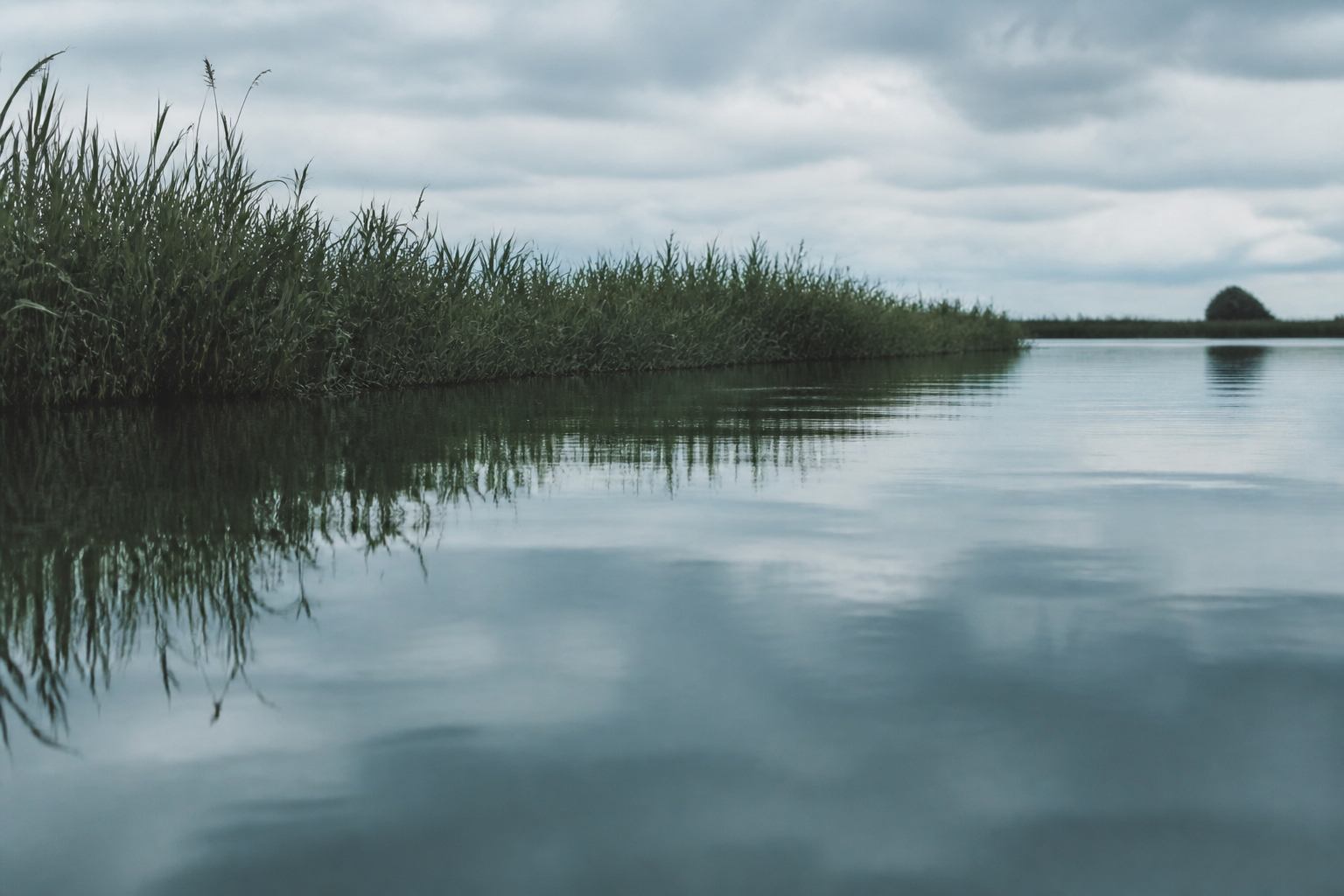 Ruhige Wasserfläche mit Schilfspiegelung unter grauem Himmel